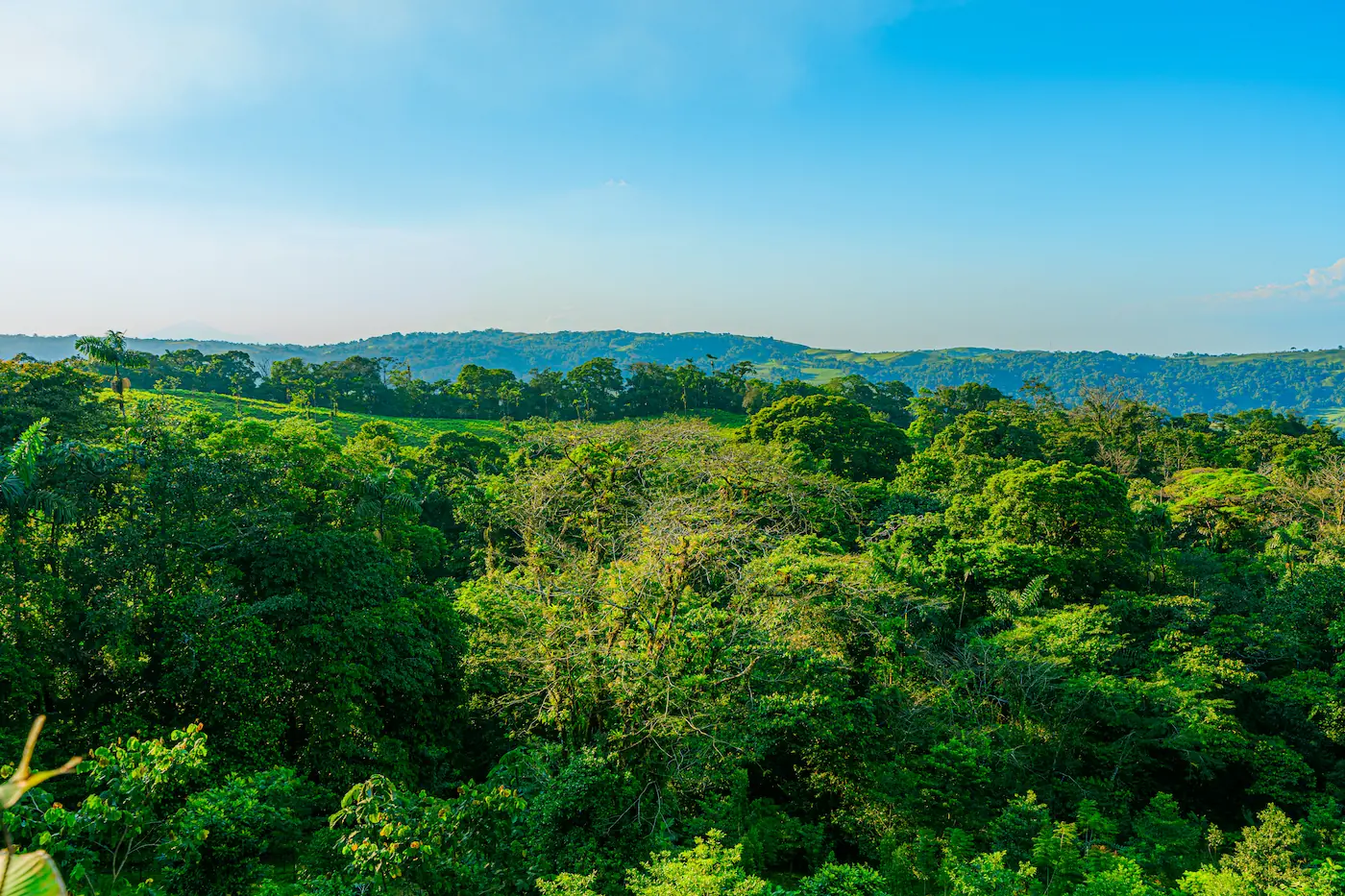 Villa Cala 28/52, Villas Jawara, La Fortuna